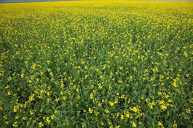 外星科幻射击游戏《Scars Above》新预告  明日发售